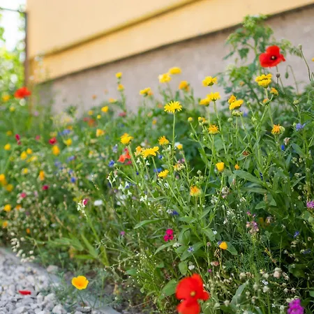 Kovacs Hostovsky Dom Vendeghaz Dovolenkový dom