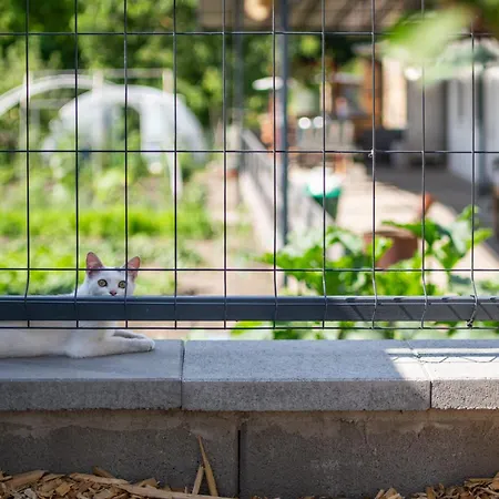 Kovacs Hostovsky Dom Vendeghaz * Velke Blahovo