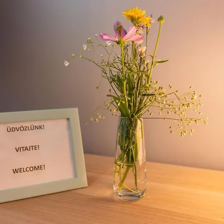 Kovacs Hostovsky Dom Vendeghaz *