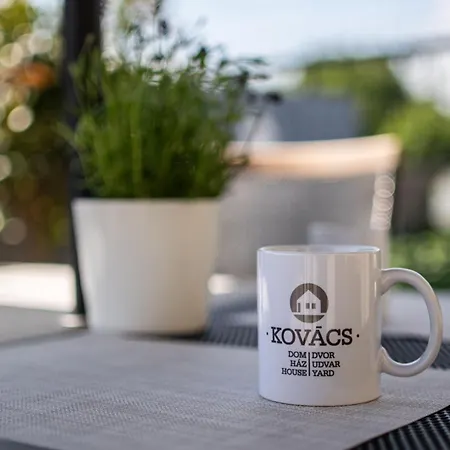 Kovacs Hostovsky Dom Vendeghaz