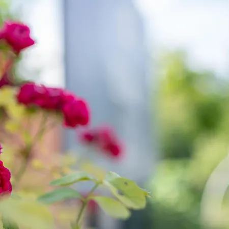 Kovacs Hostovsky Dom Vendeghaz *