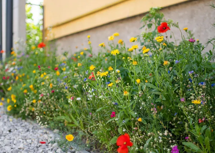 Kovacs Hostovsky Dom Vendeghaz بيت للعطل