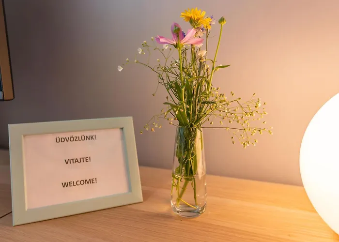 Kovacs Hostovsky Dom Vendeghaz *