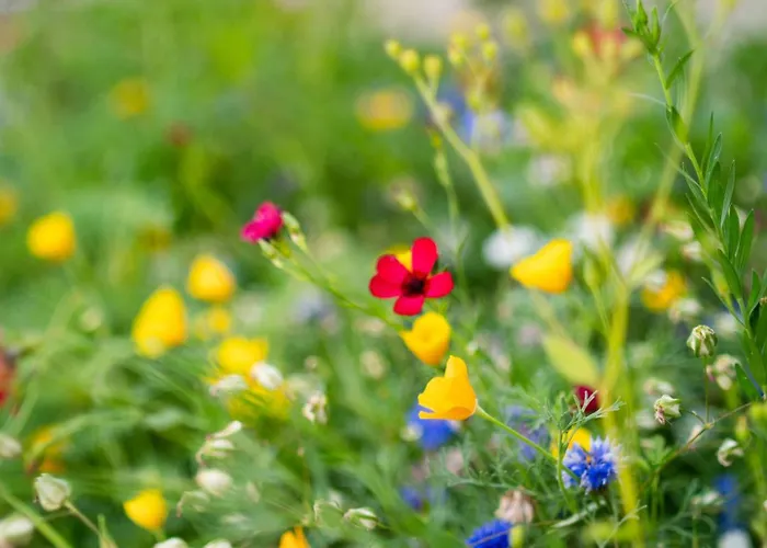 Kovacs Hostovsky Dom Vendeghaz Velke Blahovo