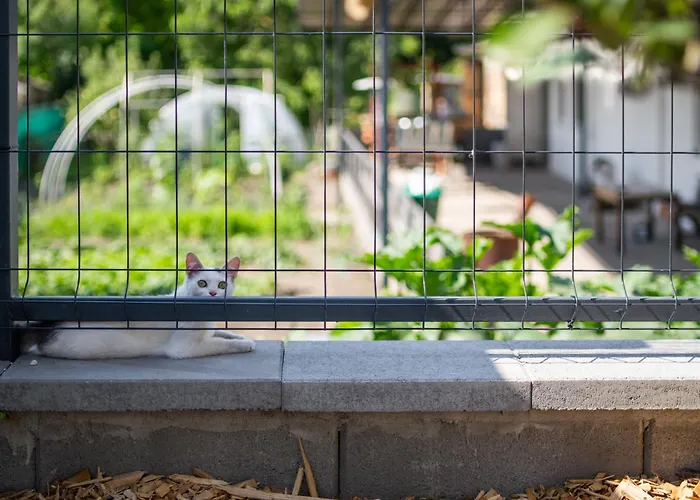 Kovacs Hostovsky Dom Vendeghaz * Velke Blahovo