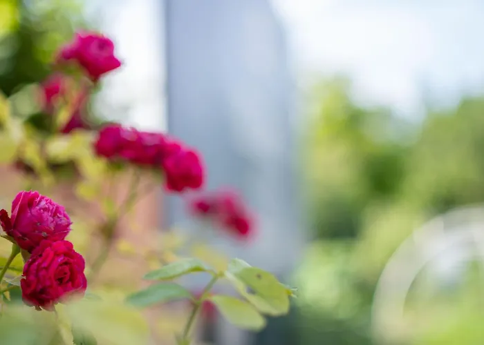 Kovacs Hostovsky Dom Vendeghaz *