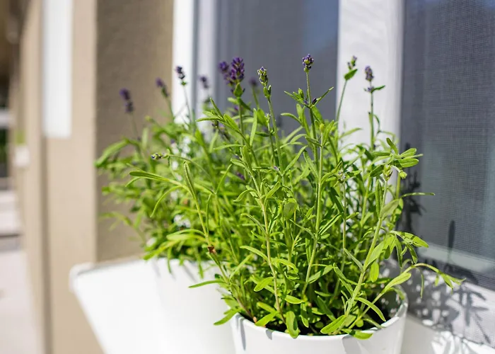 بيت للعطل Kovacs Hostovsky Dom Vendeghaz Velke Blahovo